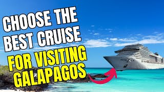 TOP 3 tips for choosing the best cruise option for visiting the Galapagos Islands