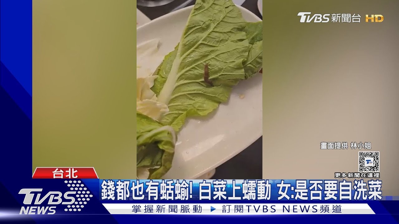 錢都也有蛞蝓!白菜上蠕動 女:是否要自洗菜