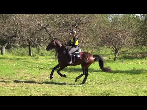 Sonja Kager - Henry K - A leicht - Thal 2017