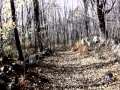 Mewithoutyou - Four Word Letter (Part 2) Music Video