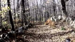 Mewithoutyou - Four Word Letter (Part 2) Music Video