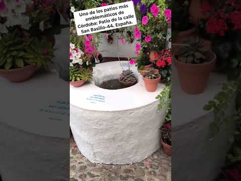 UNO DE LOS PATIOS MÁS EMBLEMÁTICOS DE CORDOBA: PATIO DE LA CALLE SAN BASILIO-44. España.