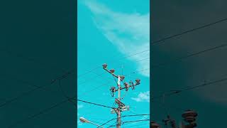 Download lagu mentari pun tau kucinta padamu | viral tiktok mp3 Download lagu mentari pun tau kucinta padamu | viral tiktok mp3