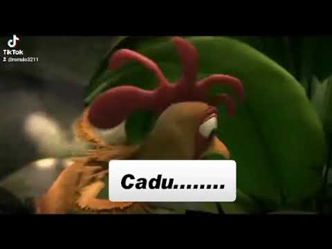 João frango/a procura do Cadu