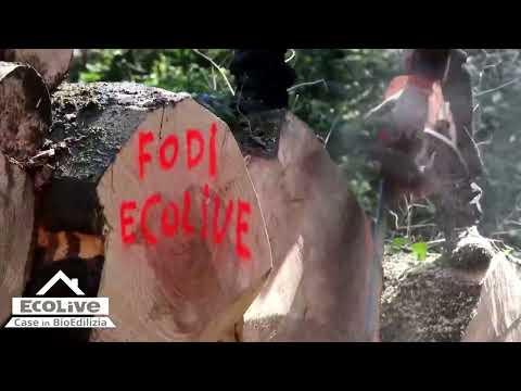 Ecolive Srl: La Nostra Storia nel mondo delle Case in Legno