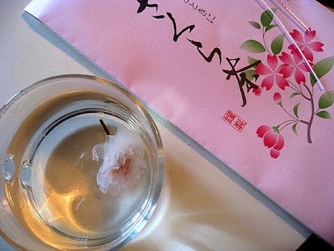 download lagu mp3 mp4 Sakura Love Tea, download lagu Sakura Love Tea gratis, unduh video klip Sakura Love Tea