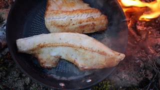 Camping, Catch &amp; Cook Zander, Perch &amp; Pike in Mosquito Hell