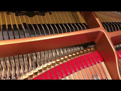 Piano- Soft pedal/ Una Corda