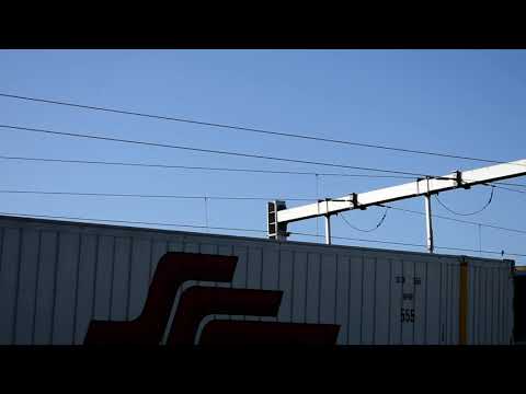 Freight Train (6MP9)