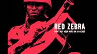 Seaside Revisited 2012 Red Zebra ( Photos by Mina Van Elewyck )