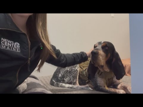 Midcoast Humane Shelter Sleep-In supports animals in need with community donations