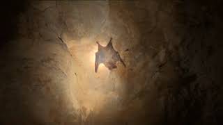 HÍREK A TERMÉSZETBŐL