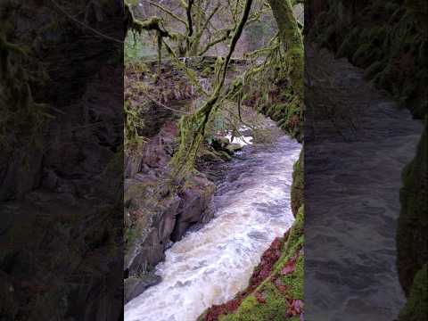 When you'd planned to summit mountains, but the blizzards had other ideas!