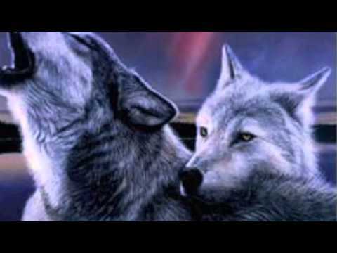 Of wolves and Men.m4v