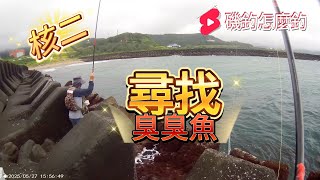 核二第三支 舊的釣點 新的釣位 現在熱起來應該有臭臭魚 開始尋找臭臭魚 #磯釣怎麼釣