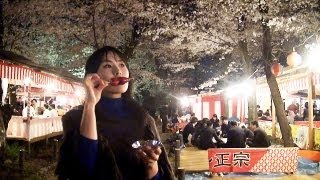 preview picture of video 'Sakura in Kyoto: Cherry Blossoms in Hirano Shrine / 京都 平野神社の桜'