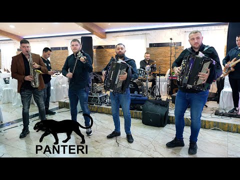 🎼🎵Orkestar PANTERI Mladena Spasojevica & 🎷Milan Strasni🎷🎵🎼 - splet melodija i instrumentala, PZ Ub