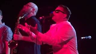 Blue Meanies "Pave The World" At Concord Music Hall 2023