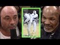 Mike Tyson Asks Joe Rogan About His Fighting Days