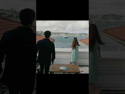 bitmeyen paraleller :) #yalıçapkını #mertramazandemir #seyfer #afrasaraçoğlu #fyp  #turkishseries