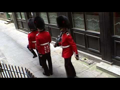 Francis Alÿs Guards