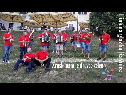 Limena Glazba Ravnice  -  Zraslo nam je drevce zeleno