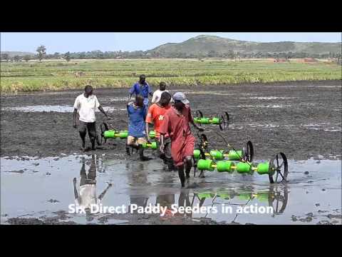 Plastic Equipment Rice Seeding