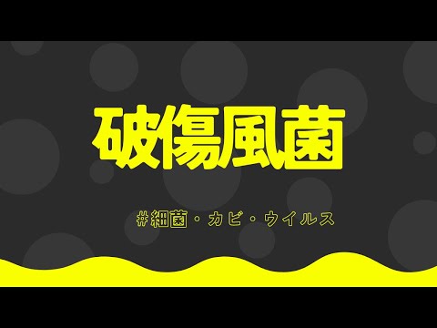 破傷風菌のグループ