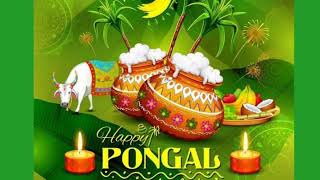 Happy Pongal Whatsapp Status Tamil /Happy Pongal Wishes in Tamil/Pongal whatsapp status Tamil 2022