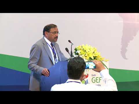 6th GEF Assembly - Plenary - June 28 2018 AM