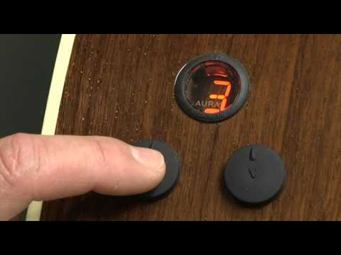 Fishman F1 Aura + Easy Mode