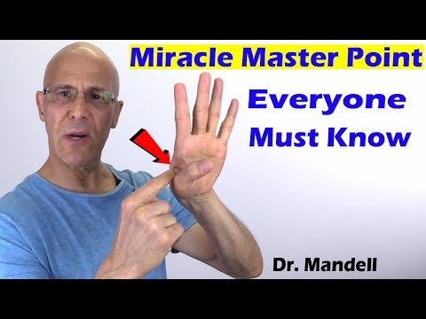 #1 Body's Miracle Master Point Everyone Must Know - Dr Alan Mandell, DC