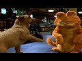 Garfield The Movie 2004 The Purrrfect Collector S Edition Trailer