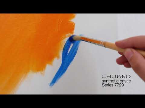 Video 2