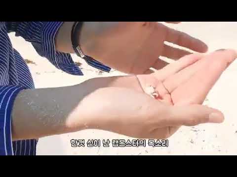 RM Catch Crab