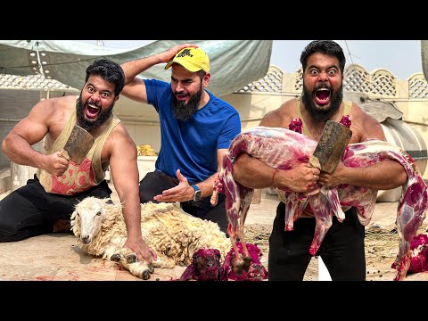ALHAMDULLILAH 3 DUMBY ZIBAH KRDIYE 😳 | YOUTUBE KA QASAI IS BACK!😅 | MUSTAFA HANIF | SYED FAHAD