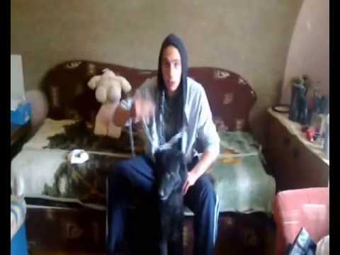 Bigg Dogg - Beng Beng  [ Official Video Klipp ]