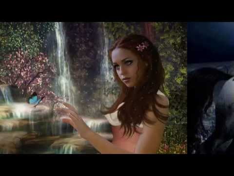 Vinid vs State-V - Belief