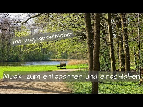 Entspannungsmusik | Vogelgezwitscher | Musik zum entspannen und einschlafen