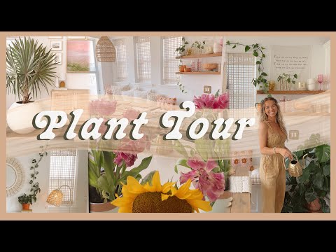 HOUSE PLANT TOUR | favorite indoor plants, spring garden highlights, & natural fertilizer ideas 🌿
