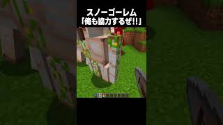 世界一可哀想なスノーゴーレム #minecraft
