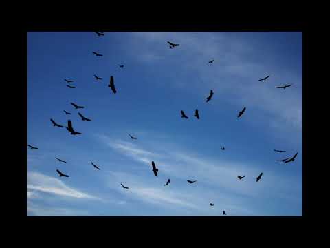 Troparul Învierii - glas 8