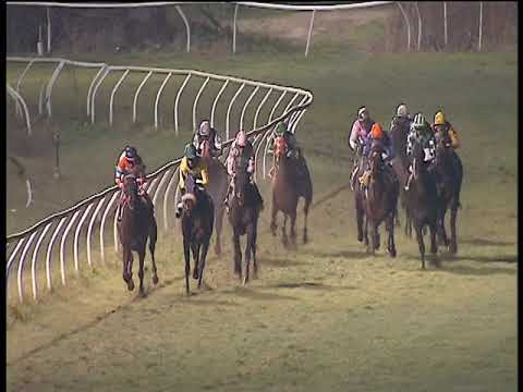 Galoppo 19/01/2019 - 6ª corsa - TRIS