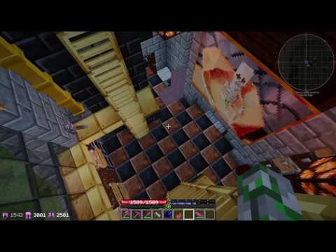 TerraFirmaPunk Let's Play SMP s1e33 - Bee Treeding