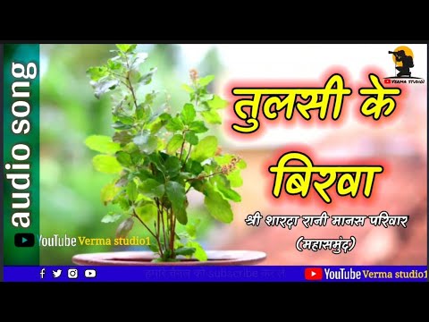 तुलसी के बिरवा || TULSI KE BIRVA || श्री शारदा रानी मानस परिवार || verma studio1 || #Audio song