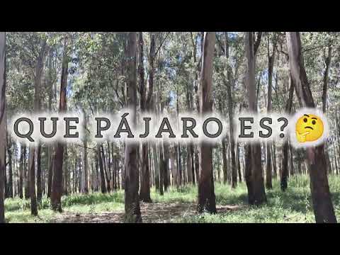 VISITANDO PARQUE JOSÉ LUIS en SALTO - URUGUAY 