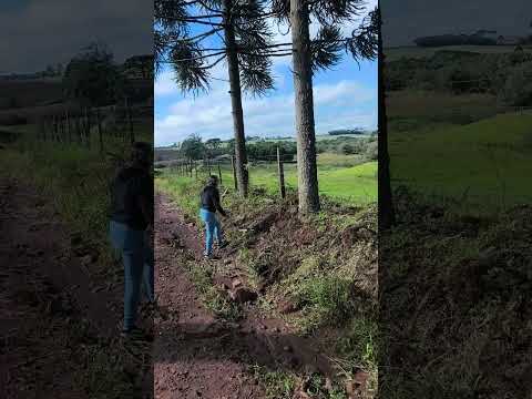 turvo Paraná cidade do pinhão