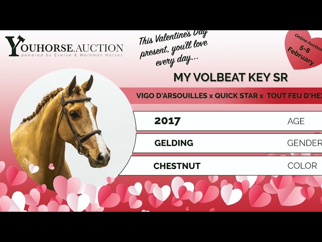 My Volbeat Key SR