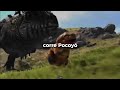 Corre Pocoyó es una carrera - Letra - Ven a la carrera