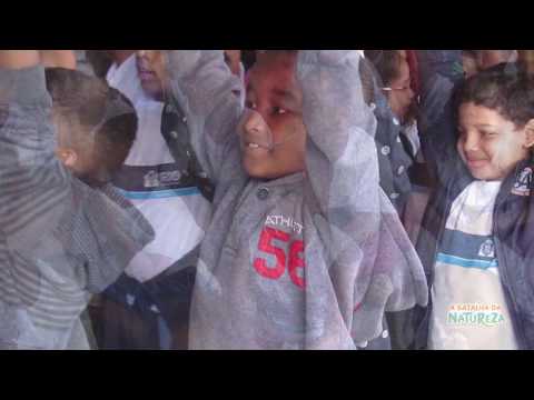 A Batalha da Natureza